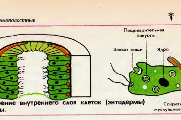 Kraken ссылка для тору